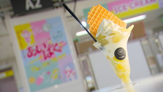 国内最大級のアイスクリームのイベントが百貨店で開幕 全国人気店の100種類以上が大集合【岡山】|TBS NEWS DIG