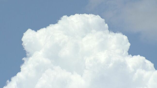 日田市で38度観測、6日連続猛暑日　大分県内で記録的猛暑続く|TBS NEWS DIG