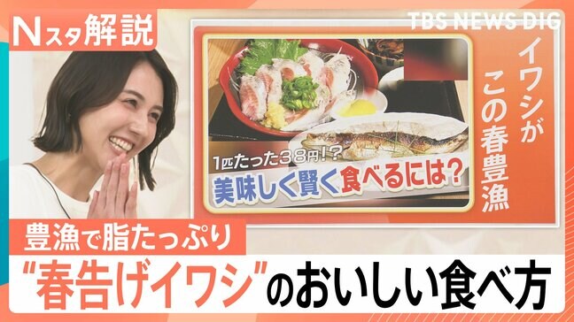 1匹なんと38円？！“春を告げる”イワシが日本海側で豊漁に！　この春おすすめのイワシの食べ方は？【Nスタ解説】|TBS NEWS DIG