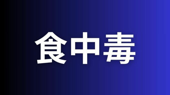 倉敷市でハヤシライスを食べた7歳~15歳の27人が食中毒症状【岡山】|TBS NEWS DIG