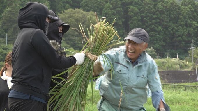 能登半島地震の被害受け“白米千枚田”の作付けは例年の1~2割に それでも迎えた稲刈りに「やっとこの日が来た」と地元の人は感慨ひとしお 石川・輪島市　|　石川県のニュース｜MRO北陸放送