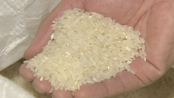 価格高止まりのコメ　輸入米活用拡大に江藤大臣「国産米の需給に影響与えない基本は変わらない」否定的な考え示す
