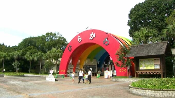 平川動物公園の歩み　時代ともにカタチを変える“それぞれの思い出の場所”鹿児島【昭和からのメッセージ(42)】　|　鹿児島のニュース｜MBC NEWS｜南日本放送