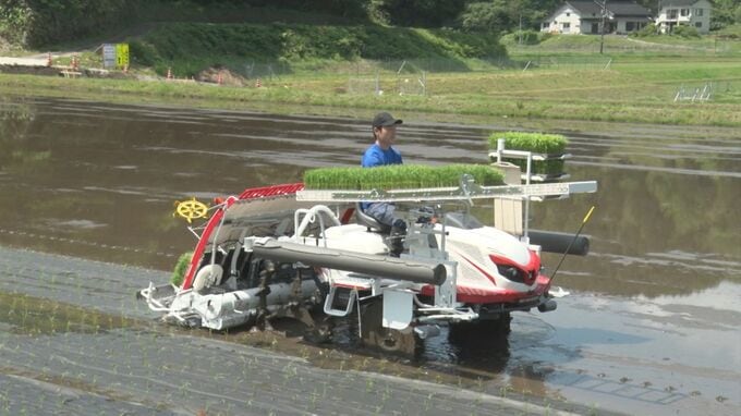 「稼げる農業」目指し、変わる田植え　苗と同時に田んぼに紙を敷く…なぜ？「中山間地域の水稲生産の発展に…」　|　BSSニュース | BSS山陰放送