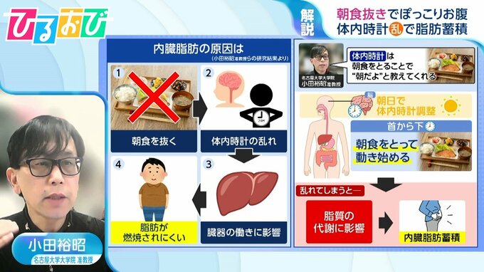 “ぽっこりお腹”の原因は「朝食抜き」！？カギは『体内時計』論文発表の研究者が解説【ひるおび】|TBS NEWS DIG