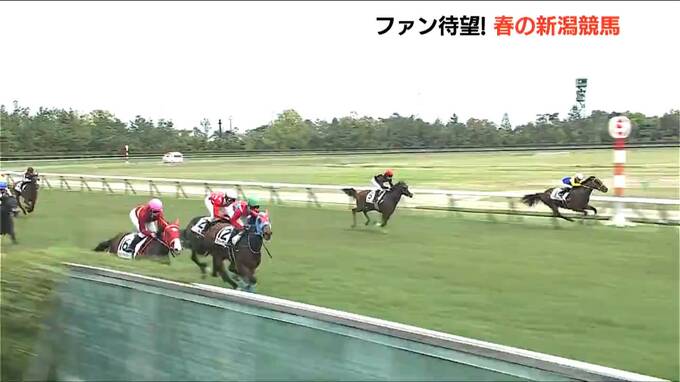 ゴールデンウィーク初日家族連れでにぎわい　春の新潟競馬はじまる|TBS NEWS DIG