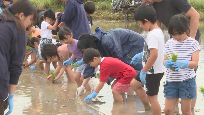 「米を感謝して食べたい」…田植え綱を使った昔ながらの田植え・親子で体験　山口　|　山口のニュース・天気・防災｜tys NEWS｜ｔｙｓテレビ山口