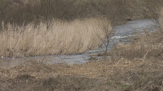 「川に人のようなものが…」高齢女性の遺体発見　事件事故両面で捜査　福島市|TBS NEWS DIG