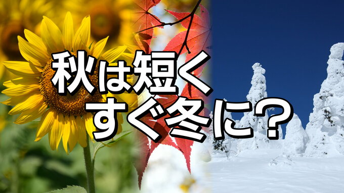 快適な秋は短くすぐ冬に？今年も「四季」→「二季」か　22日冬の長期予報発表前に予報資料から見えるサインとは　tbc気象台|TBS NEWS DIG
