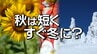 快適な秋は短くすぐ冬に…？今年も「四季」→「二季」か　22日冬の長期予報発表前に予報資料から見える“サイン”とは　tbc気象台　|　宮城のニュース│tbc NEWS│tbc東北放送