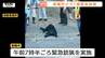 クマは“川を泳いでいた”　けさ緊急銃猟で1頭駆除「今までは他人事…身近に来たという感じ」　県内各地きのう～きょう目撃件数20件超（山形）　|　山形のニュース│TUYテレビユー山形