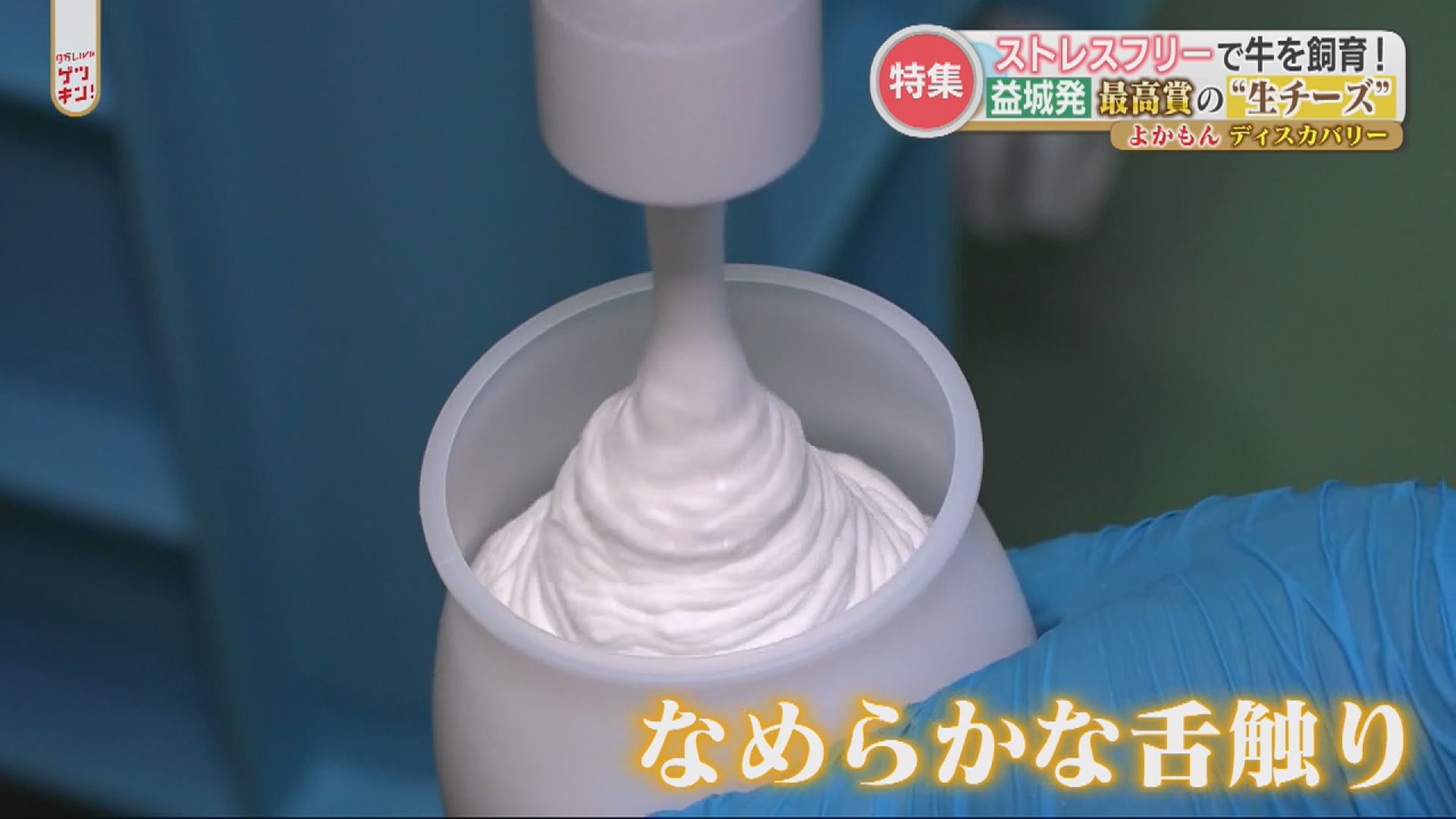 鮮度が命！「熟成させない生チーズ」とは？最優秀賞に輝いた絶品チーズ