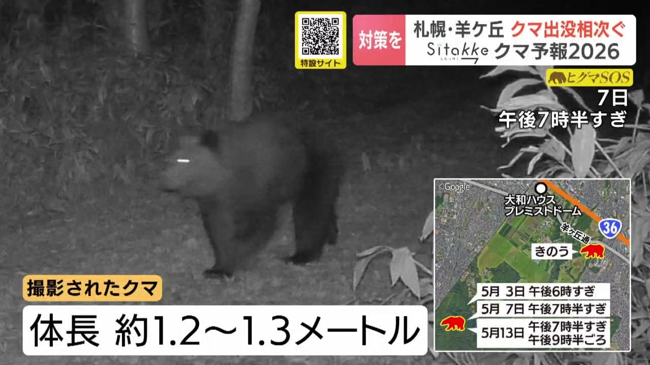 ポシェットを下げた子供なヒグマさん Long Holidays are almost here]