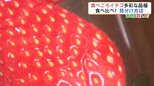 イチゴの赤い部分は「実」ではない?保存は「電気・太陽光」に当てないように…【市場で旬みっけ!】 | 福島のニュース│TUF