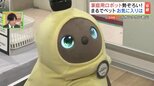 「赤ちゃんみたい!」かわいい、賢いロボット勢ぞろい 自分にぴったりの1台見つけよう 各地でイベント開催中 福島|TBS NEWS DIG