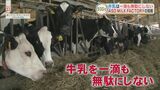 「牛乳を一滴も無駄にしない!」廃棄される「ホエイ」に酪農家が活用方法を模索 | 熊本のニュース|RKK NEWS|RKK熊本放送