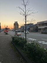 【続報】「歩行者と衝突した」国道で女性が大型トラックにはねられ意識不明 富山 | 富山のニュース|天気・防災|チューリップテレビ