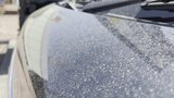 「拭いちゃうと傷に」 6年ぶりに黄砂観測 ガソリンスタンドには洗車を待つ車の列 山梨 | 山梨のニュース | UTYテレビ山梨