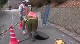 下水道管の点検に年間1億円…2400キロに及ぶ定期点検は7年に1度のペース【道路陥没事故】長野市でも緊急点検、大型管ないものの油で詰まるケースも　|　SBC NEWS | 長野のニュース | SBC信越放送