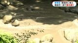 新燃岳で断続的に噴火 断水・温泉供給停止の影響続く「上流で土石流か」|TBS NEWS DIG