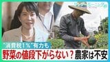 消費税“1%”有力も野菜の値段は下がらない?農家「高くなる可能性」”収入源”に不安の声 資材高騰による価格転嫁も…【サンデーモーニング】|TBS NEWS DIG