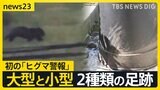 初の「ヒグマ警報」男性が襲われた北海道・福島町では14日もクマの痕跡…調査に当たった専門家チーム「2種類の足跡」　別のクマも出没か！？【news23】|TBS NEWS DIG