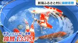 「猛暑の影響で飼育数半減…ありがたい」新潟ふるさと村に長岡産ニシキゴイ寄贈|TBS NEWS DIG