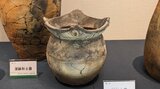 多種多様な文様のかたちに驚く 盛岡市内で出土した縄文土器の文様に着目したテーマ展|TBS NEWS DIG