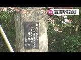 特攻で戦死した息子を偲び 両親が育てた「永峯邸」の桜 宮崎市・護国神社|TBS NEWS DIG