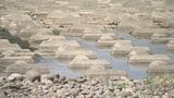 「飯梨川」「三瓶川」流域で農業用水「取水制限」へ…島根県　鳥取県では「日野川」15％の取水制限引き上げに向け協議会開催へ|TBS NEWS DIG