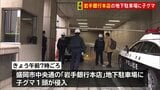 岩手銀行本店の地下駐車場に子グマ1頭侵入　駐車場を封鎖し対応を協議　岩手・盛岡市|TBS NEWS DIG