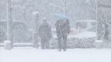 JR西日本　降積雪で特急列車を終日運転取りやめ　山陰エリア中心に普通列車で始発から運転見合わせも　|　BSSニュース | BSS山陰放送