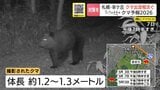 『クマ予報』的中…札幌・羊ヶ丘に推定1.3mほどのクマ出没か「羊ヶ丘」周辺は三角山から藻岩山周辺に並び今季クマ対策を意識したいエリア | 北海道のニュース|HBC北海道放送