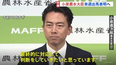 「大臣としての務めを果たす」小泉進次郎農水大臣が自民党総裁選への出馬意向固める　来週正式に出馬表明へ　林官房長官も来週出馬会見へ| TBS CROSS DIG with Bloomberg