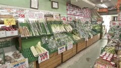 東京23区の消費者物価　“下振れ” の実態　保育料無償化の影響大もインフレ基調は継続| TBS CROSS DIG with Bloomberg