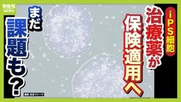 【iPS細胞】誕生から20年の時を経て実用化へ　細胞由来のパーキンソン病治療薬の保険適用了承　高まる期待も実は数々のハードルが&hellip;医療ジャーナリストが解説　|　MBSニュース | 関西の最新ニュースを分かりやすく。