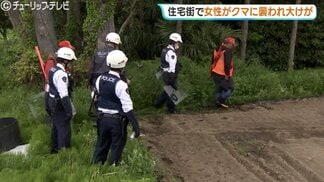 「女性の悲鳴と犬の鳴き声が…」犬の散歩中にクマ　40代女性が顔や首かまれる…海が近い住宅密集地に出没　富山　|　富山のニュース｜天気・防災｜チューリップテレビ