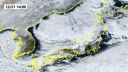 img_17b625c6ed180241e86fb0b26f