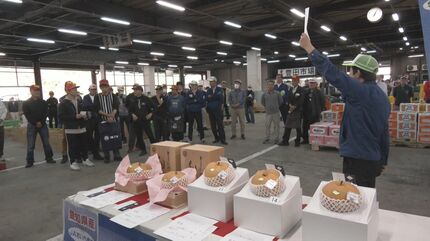若山千麻子、【梨果】、希少な額装用画集より、新品額装付、状態良好 世界一重い｣梨のコンテスト 優勝した約3キロの梨は50万円で落札 甘い