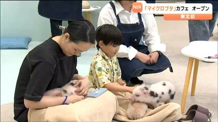 膝の上にのせて」とブタさんたちが言っている？東北初オープンの