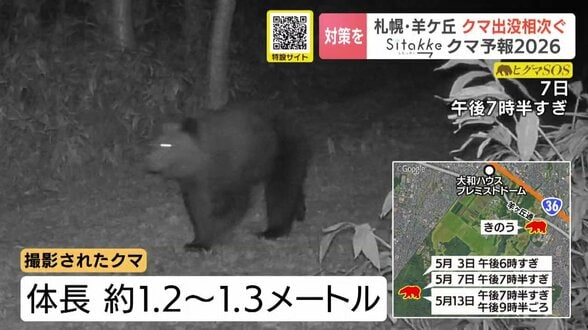 『クマ予報』的中…札幌・羊ヶ丘に推定1.3ｍほどのクマ出没か「羊ヶ丘」周辺は三角山から藻岩山周辺に並び今季クマ対策を意識したいエリア　|　北海道のニュース｜HBC北海道放送