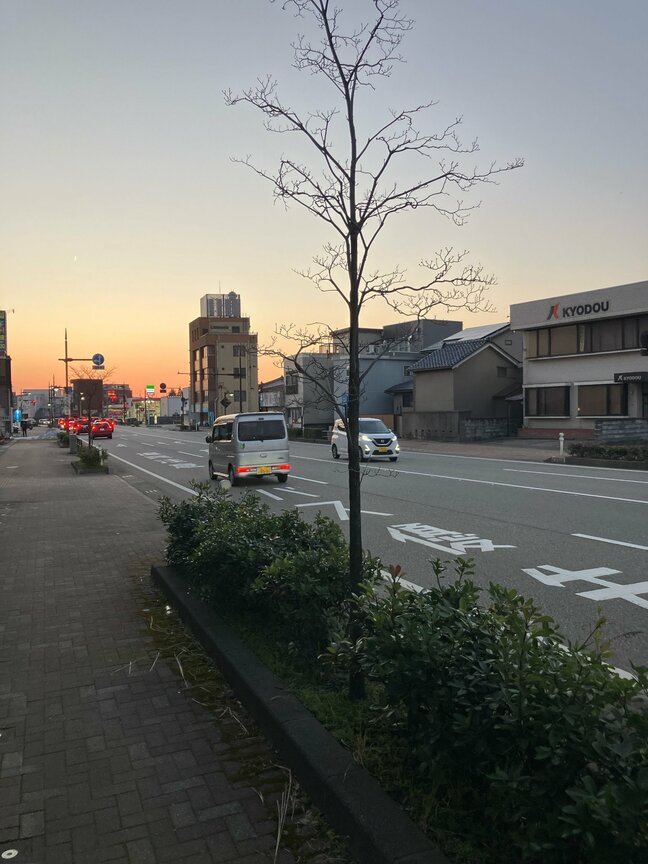 【続報】「歩行者と衝突した」国道で女性が大型トラックにはねられ意識不明 富山|TBS NEWS DIG