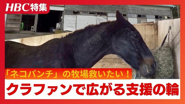 引退競走馬の老朽厩舎を救え!「ネコパンチ」らが暮らす北海道の養老牧場、クラファンで驚きの支援額集まる『ザ・ロイヤルファミリー』舞台の地でもう一つのドラマ |TBS NEWS DIG