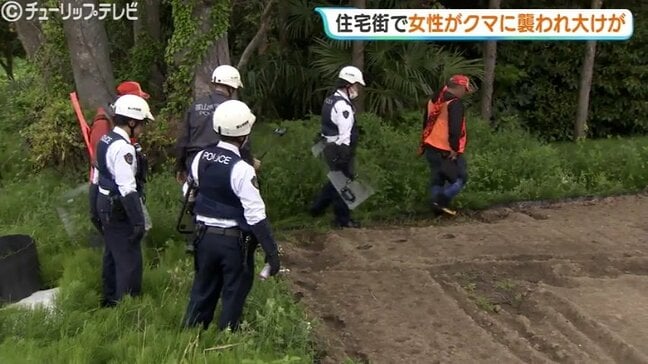 「女性の悲鳴と犬の鳴き声が…」犬の散歩中にクマ　40代女性が顔や首かまれる…海が近い住宅密集地に出没　富山|TBS NEWS DIG