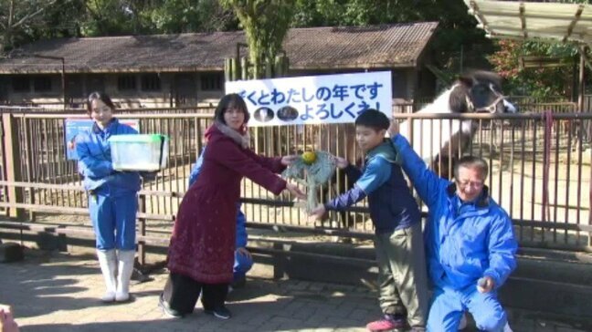 巳から午へ干支送り  愛媛・とべ動物園|TBS NEWS DIG