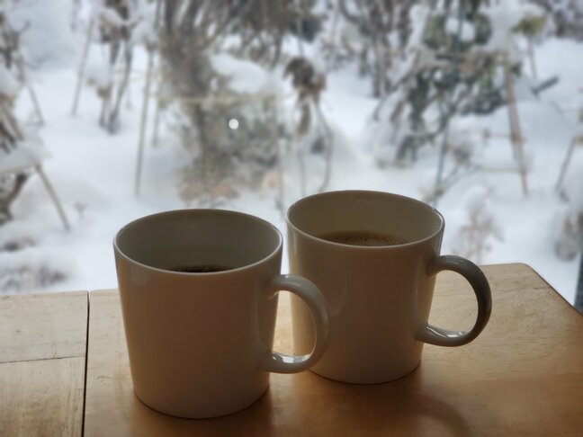 性行為したくない…疲れてるふり、小汚い恰好　すれ違う夫婦の我慢と離婚の境界線|TBS NEWS DIG