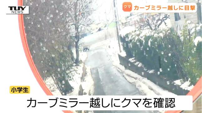 【動画】小学生がカーブミラー越しにクマ確認...天童市に親子と見られる3頭のクマ出没 長井市では緊急銃猟によりクマ1頭駆除(山形) |TBS NEWS DIG