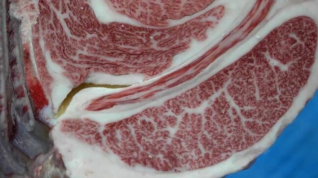 黒牛の品質競う品評会 県内高校からも4校が出品 鹿児島|TBS NEWS DIG