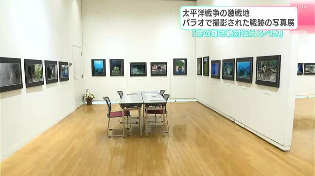「命の尊さは絶対伝えるべき」太平洋戦争の激戦地 パラオで撮影された戦跡の写真展|TBS NEWS DIG