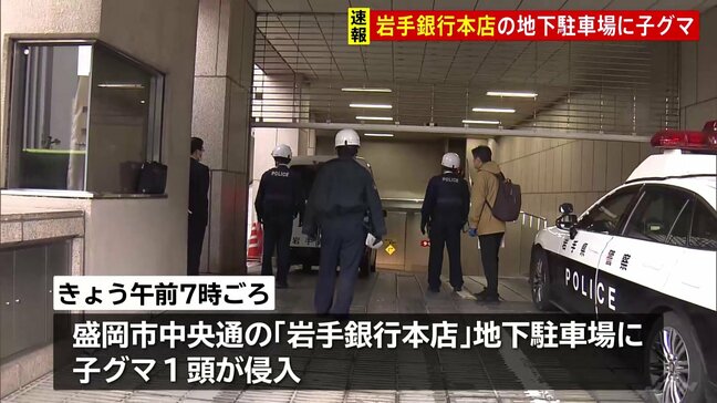 岩手銀行本店の地下駐車場に子グマ1頭侵入　駐車場を封鎖し対応を協議　岩手・盛岡市|TBS NEWS DIG